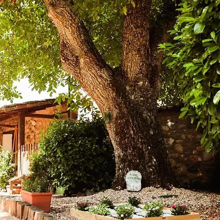 Gastronomico Chousa Verde 4*